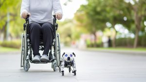 קבלת פטור ממס הכנסה נכות